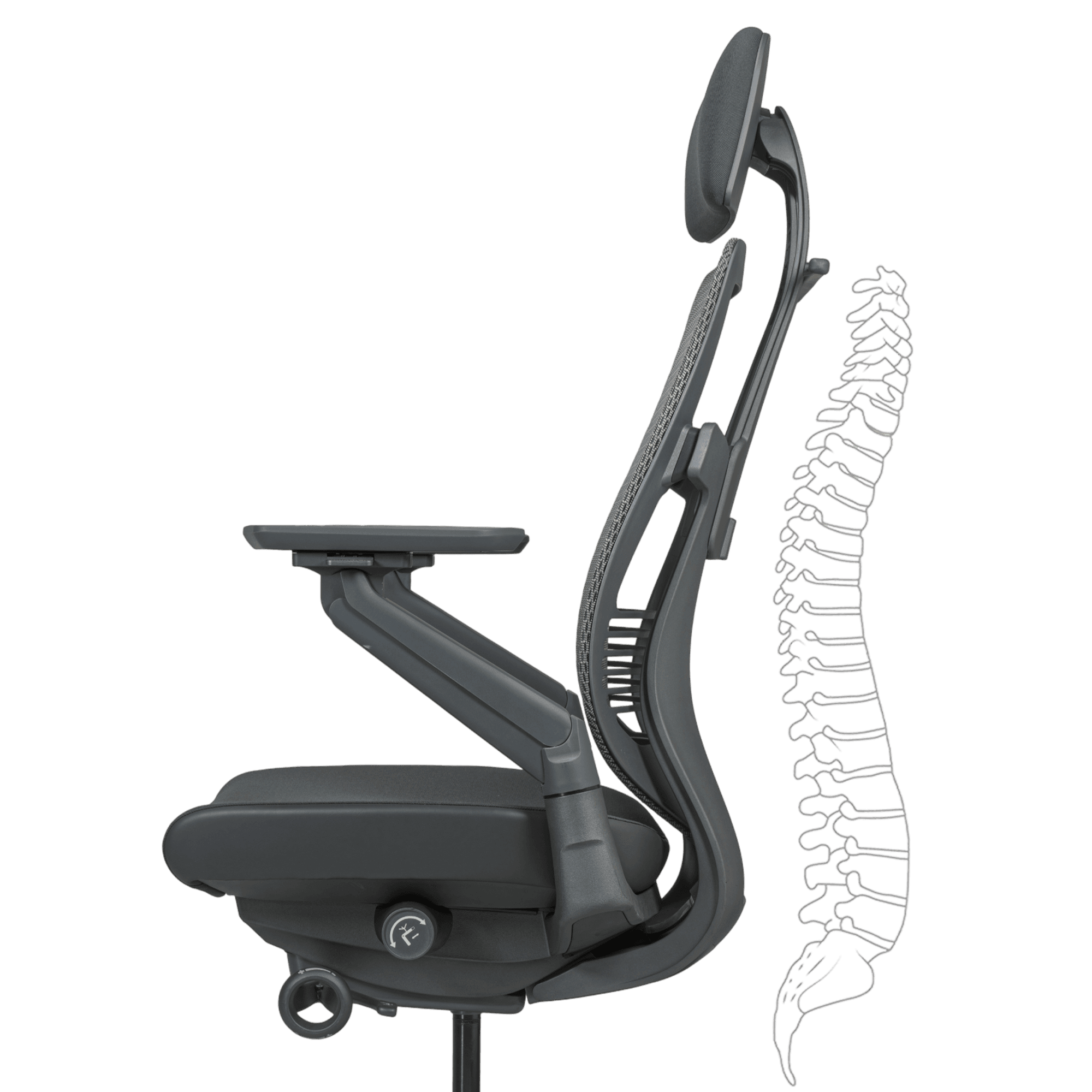 S-Curved Back that Follows Your Spine