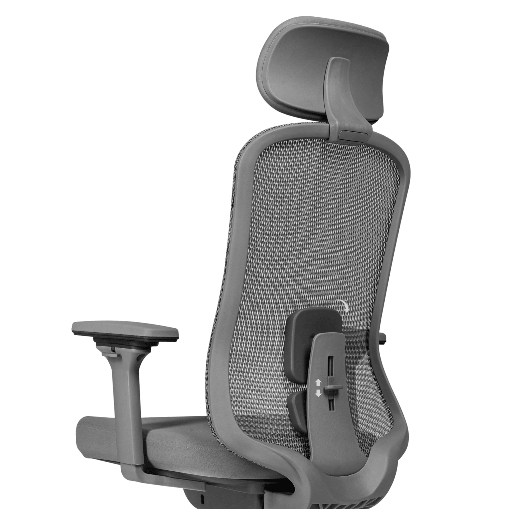 Adjustable Dual Lumbar Support, Tracking L1–L5