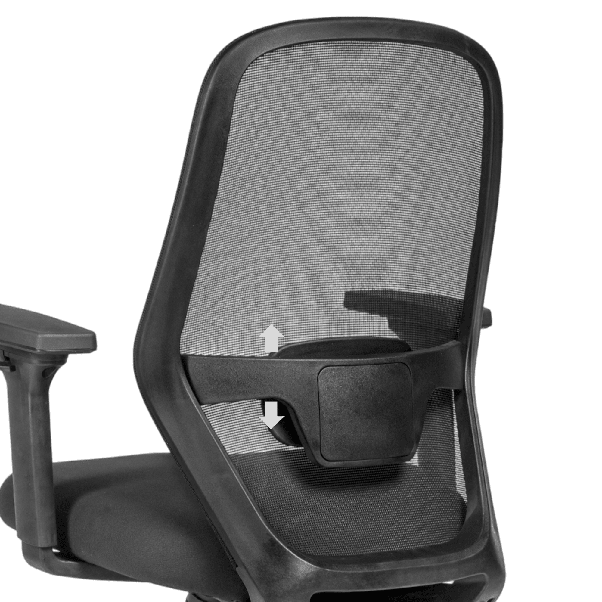 Height-Adjustable Lumbar Support